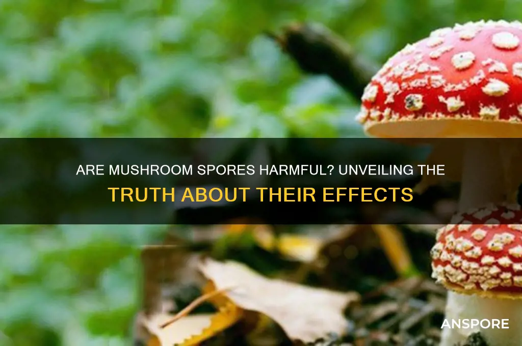 are mushroom spores bad for you