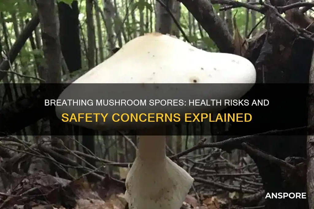 are mushroom spores bad to breathe in
