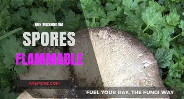 Mushroom Spores: Are They Flammable?