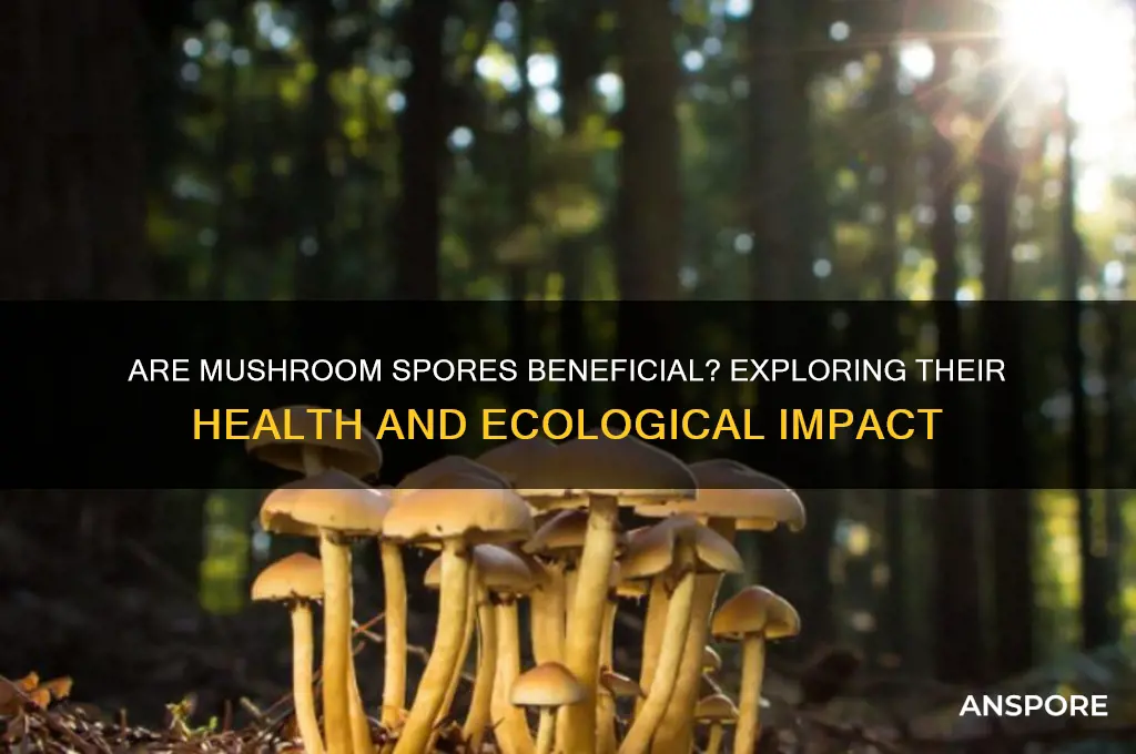 are mushroom spores good