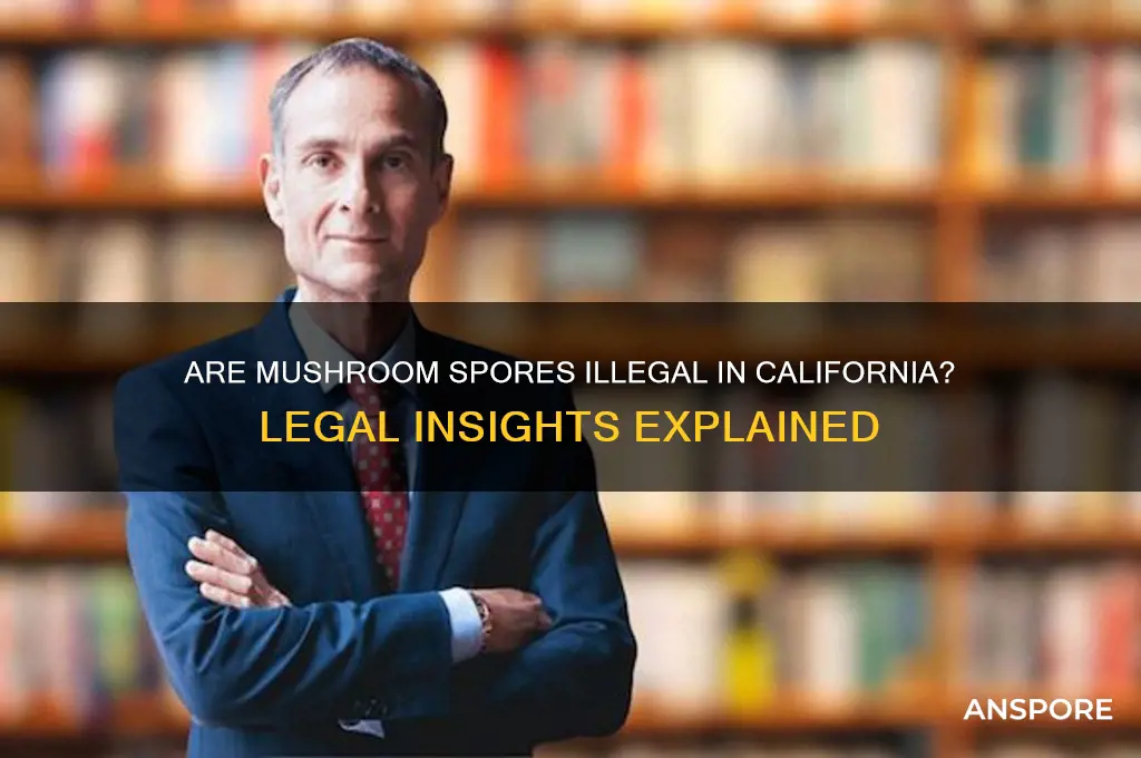 are mushroom spores illegal in california
