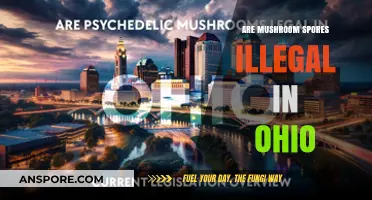 Are Mushroom Spores Illegal in Ohio? Legal Insights and Facts
