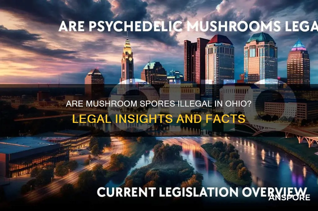 are mushroom spores illegal in ohio