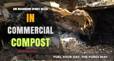 Do Commercial Composting Methods Eliminate Mushroom Spores Effectively?