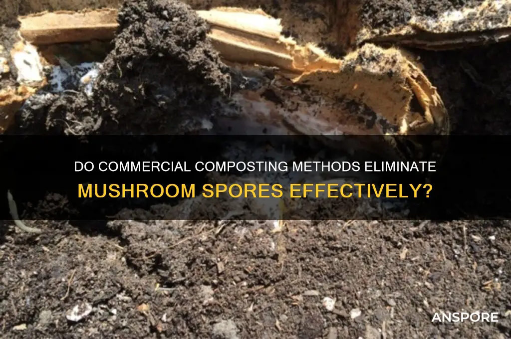 are mushroom spores killed in commercial compost