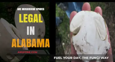 Are Mushroom Spores Legal in Alabama? Understanding the Current Laws