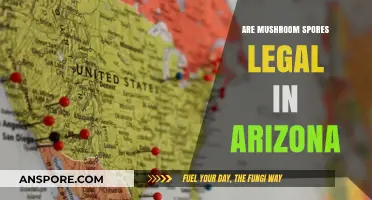Are Mushroom Spores Legal in Arizona? Understanding the Current Laws