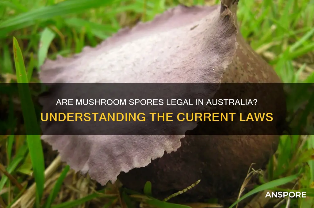 are mushroom spores legal in australia