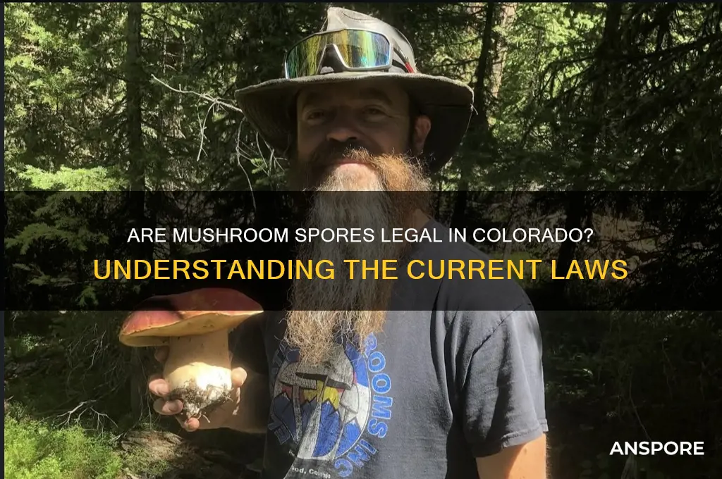 are mushroom spores legal in colorado