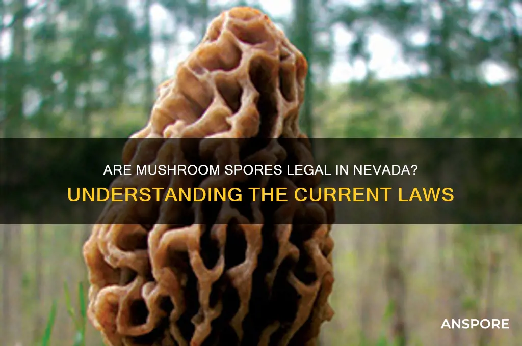 are mushroom spores legal in nevada
