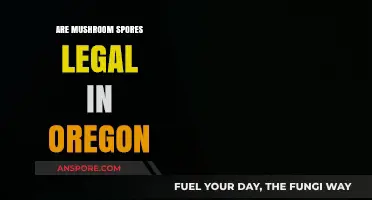 Are Mushroom Spores Legal in Oregon? Exploring the Current Laws