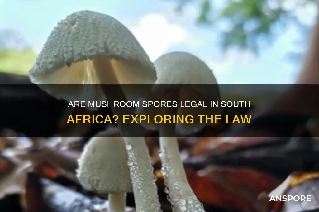 are mushroom spores legal in south africa