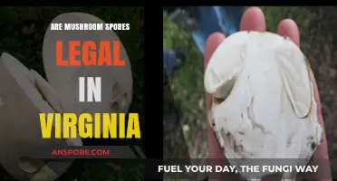 Are Mushroom Spores Legal in Virginia? Understanding the Current Laws