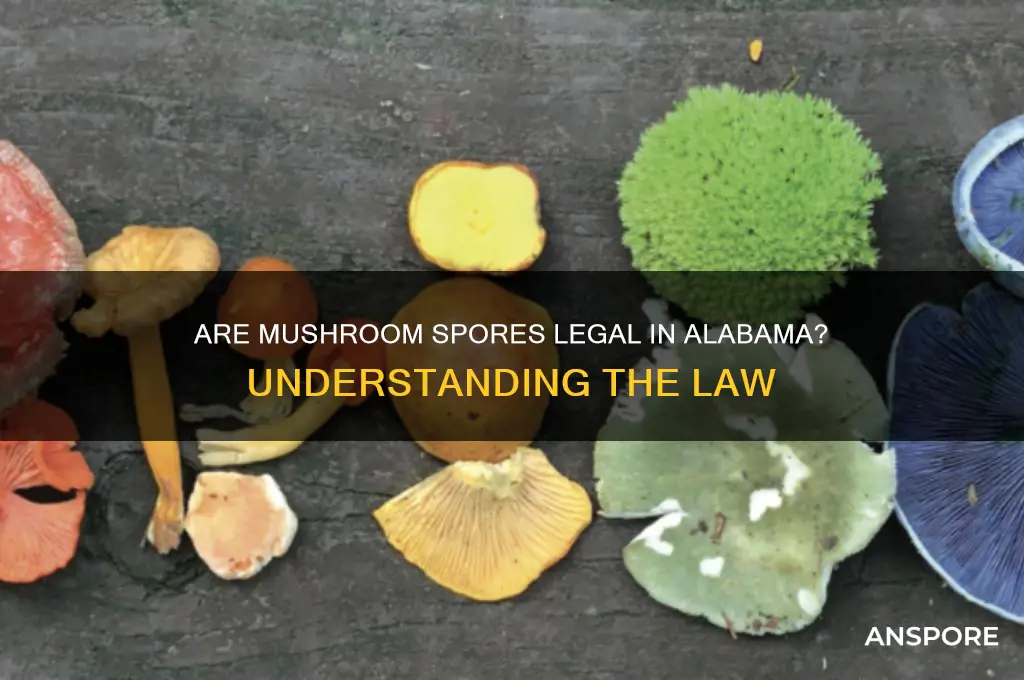 are mushroom sporrs illegal i al