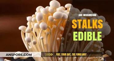 Can You Eat Mushroom Stalks? A Guide to Edibility and Safety