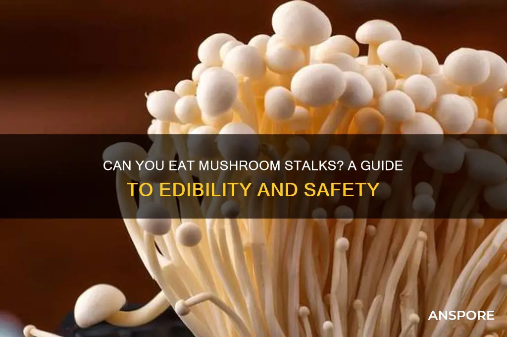 are mushroom stalks edible
