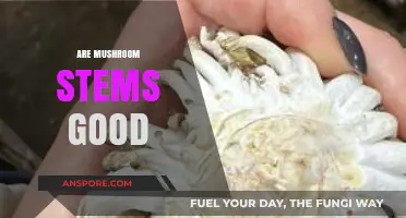 Are Mushroom Stems Edible? Benefits, Uses, and Culinary Tips