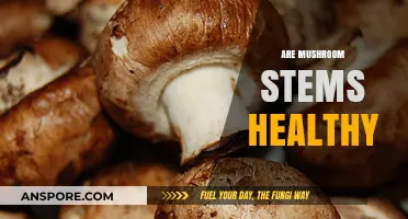 Mushroom Stems: Healthy or Harmful?