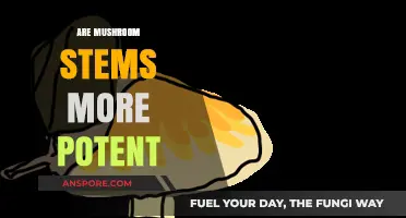 Mushroom Stems: More Potent or Not?