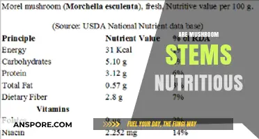 Mushroom Stems: Nutrition Powerhouses or Waste?