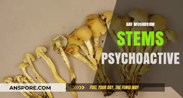Magic Mushrooms: Stem Psychoactivity Explored