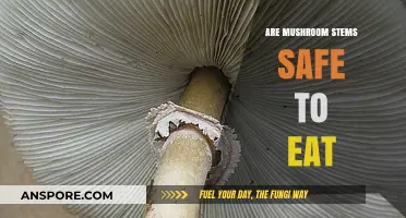 Can You Eat Mushroom Stems? Safety Tips and Facts Revealed