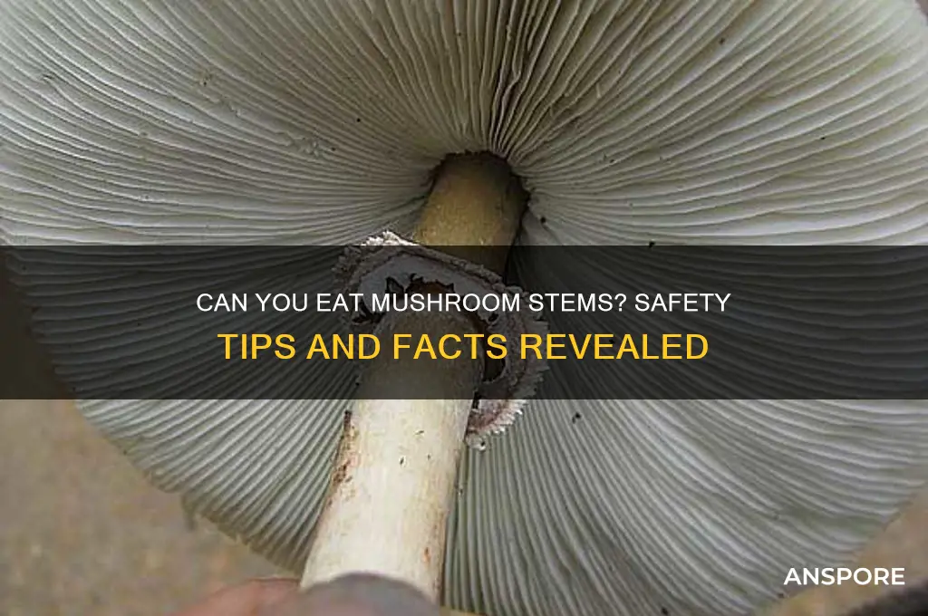 are mushroom stems safe to eat