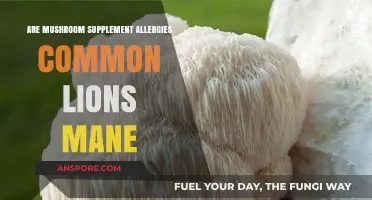 Lion's Mane Mushroom Supplements: How Common Are Allergic Reactions?