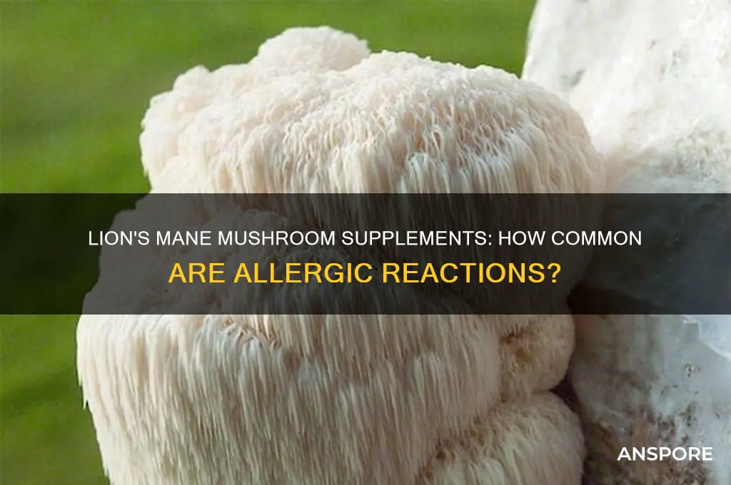 are mushroom supplement allergies common lions mane