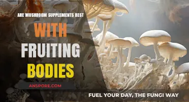 Fruiting Bodies vs. Mycelium: Which Mushroom Supplement is Superior?