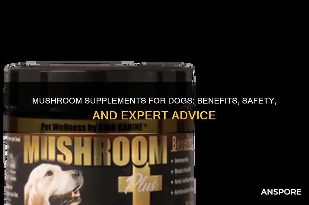 are mushroom supplements good for dogs