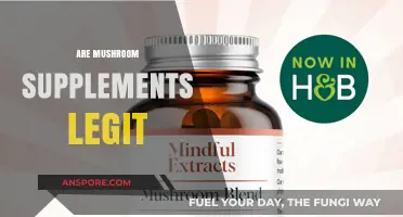 Mushroom Supplements: Legit or a Lie?
