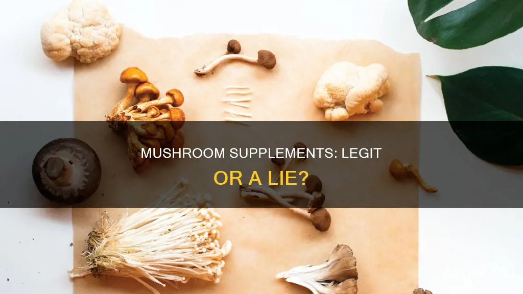 are mushroom supplements legit