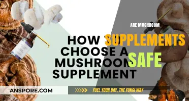 Mushroom Supplements: Safe or Not?