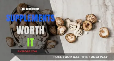 Mushroom Supplements: Are They Worth the Hype?