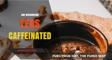 Mushroom Teas: Caffeinated or Not?