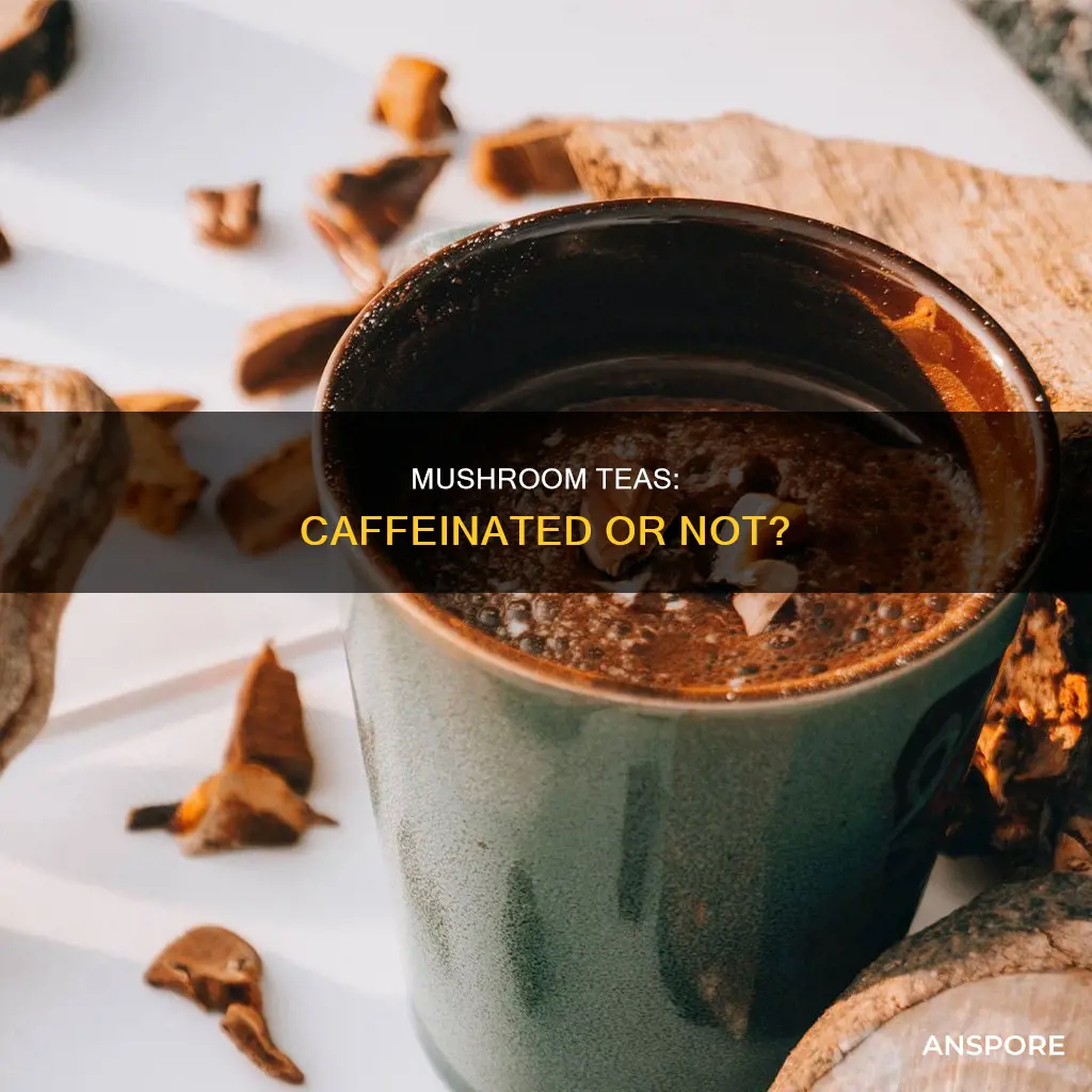 are mushroom teas caffeinated