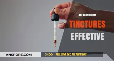 Mushroom Tinctures: Do They Work?