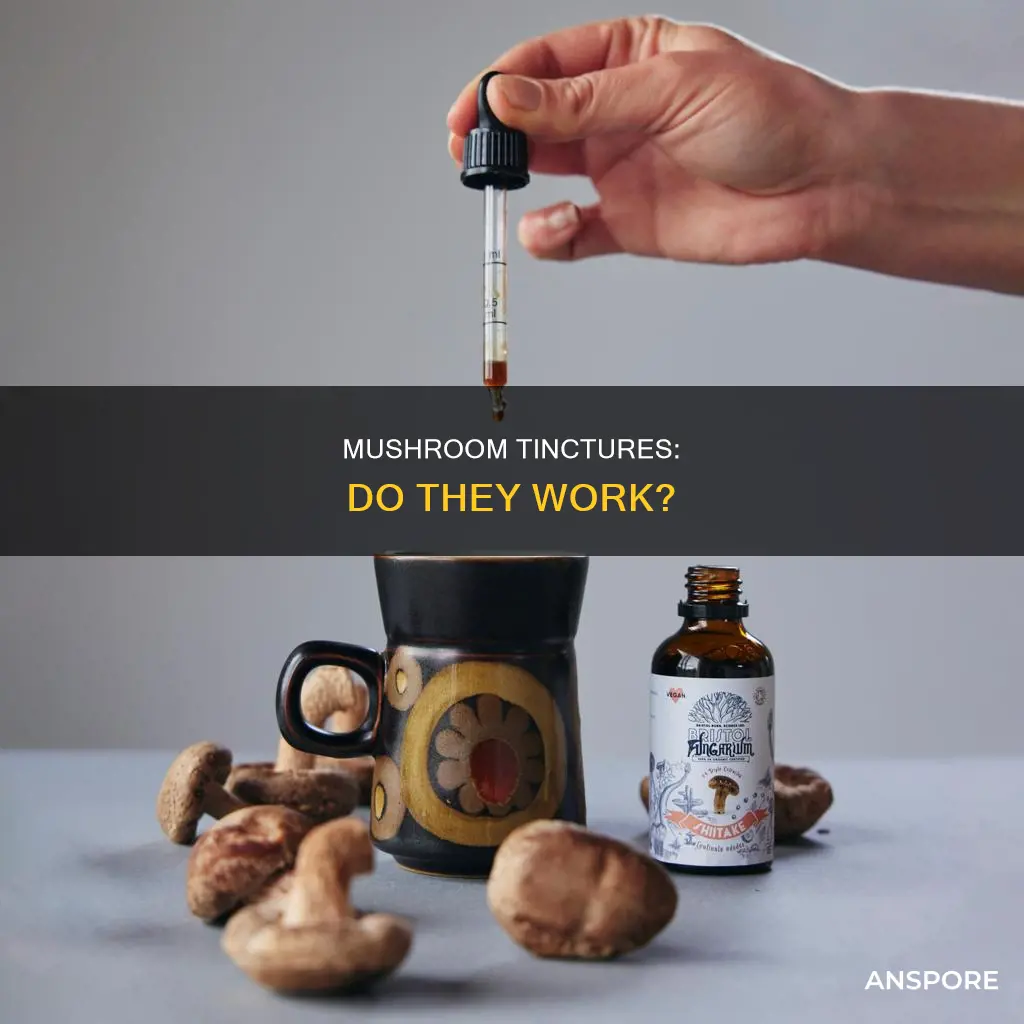 are mushroom tinctures effective