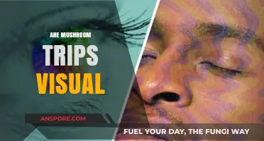 Mushroom Trips: Visual or Hallucination?