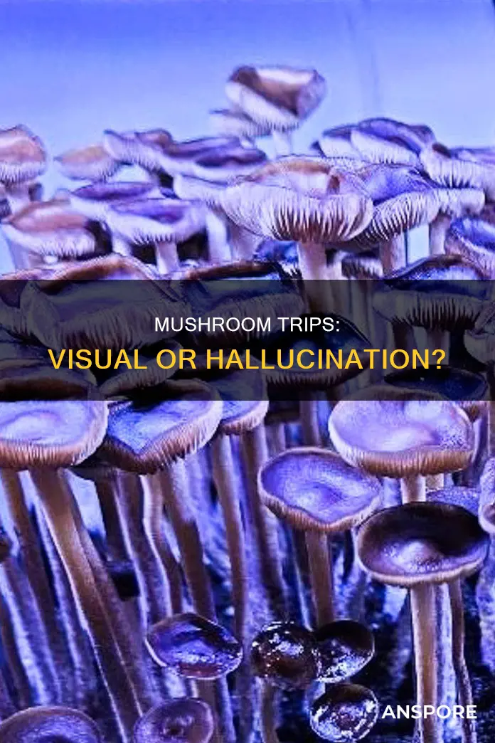are mushroom trips visual