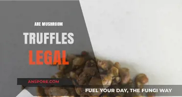 Are Mushroom Truffles Legal? Exploring the Legal Status of Psychedelic Fungi