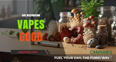 Are Mushroom Vapes Safe or Effective? Exploring the Truth