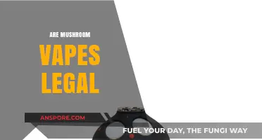 Are Mushroom Vapes Legal? Exploring the Legal Landscape of Psilocybin Inhalants