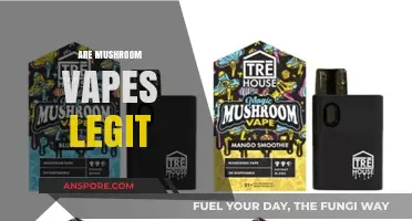 Mushroom Vapes: Legit or a Hoax?