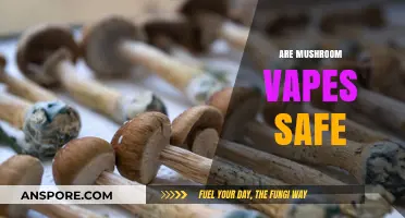 Mushroom Vapes: Safe or Risky Business?