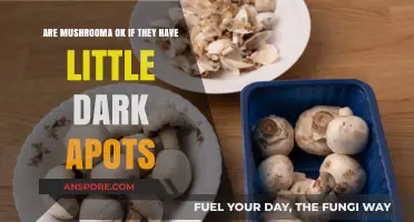 Are Mushrooms Safe to Eat with Small Dark Spots?