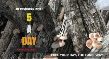 Mushrooms as Daily Veg: Do They Count Towards Your 5 a Day?