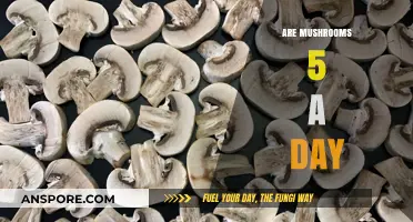 Mushrooms: A Healthy 5-a-Day Superfood?