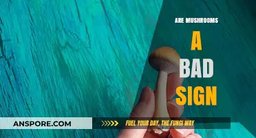 Are Mushrooms a Bad Sign? Unraveling Myths and Facts